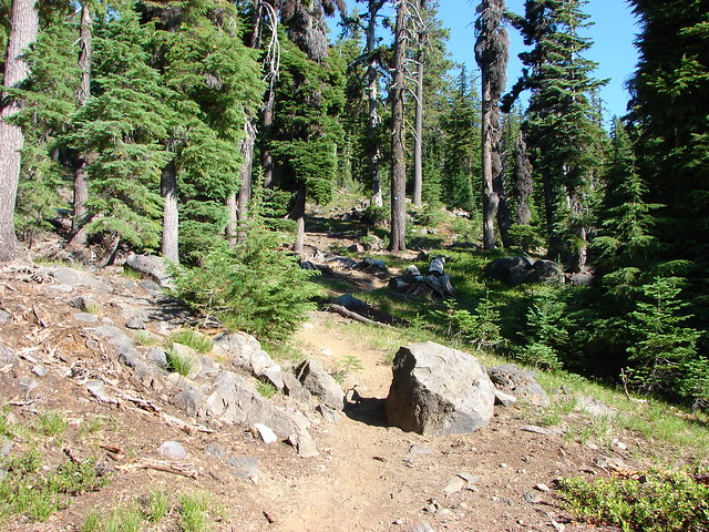 Mt. Bailey Trail