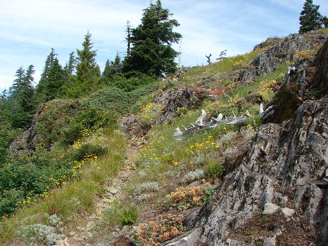 Elkhorn Ridge Trail