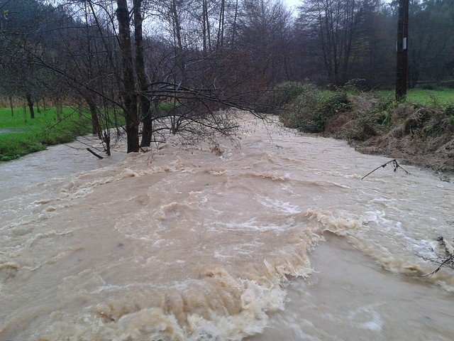 rio inundado