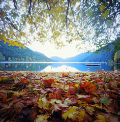 Lake Crescent In Autumn