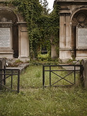 Zentralfriedhof