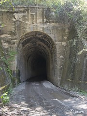 Acceso al túnel contiguo al puente Golondrinas.