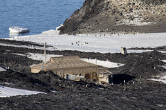 Shackleton's Hut