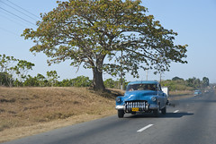 Viejas máquinas americanas en la carretera principal que une las ciudades de Cienfuegos con Santa Clara, a la salida del poblado de Cruces, en la provincia de Cienfuegos, Cuba - 2013