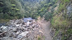 Motu Rd and Pakihi Trail Ride