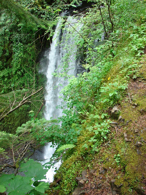 Ecola Falls