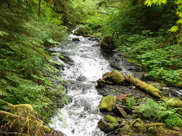 Multnomah Creek