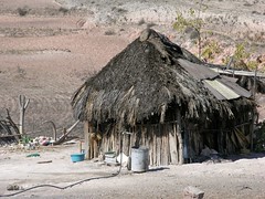 Thatched hut - Choza; Magdalena Jaltepec, Distrito de Nochixtlán, Región Mixteca, Oaxaca, Mexico
