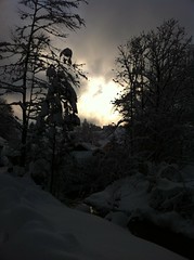 Winter Hiking in Wald ZH, Switzerland