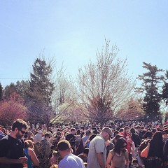 Easter egg hunt madness. This is just the 3 year old area.