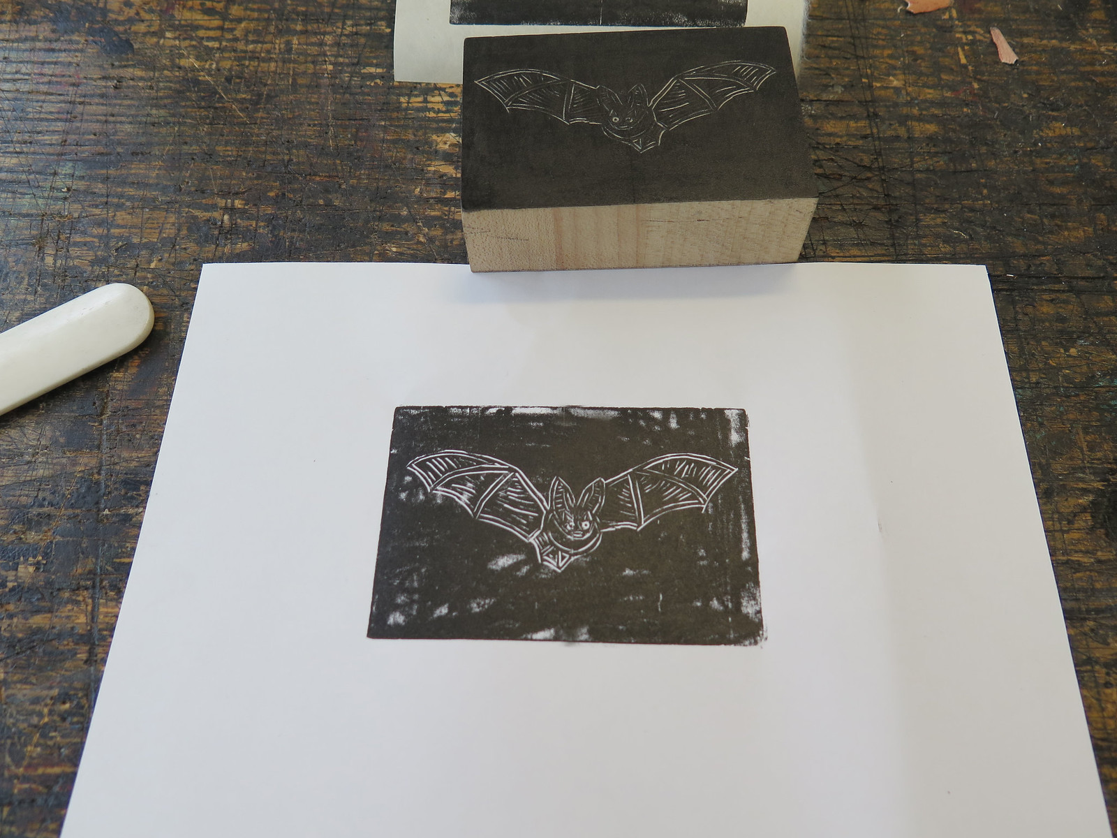 Wood Engraving - Bat Print