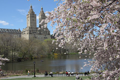 Central Park Lake and the San Remo