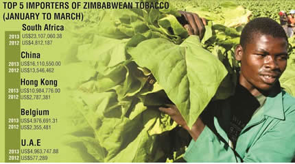 Tobacco farmers turn to contract growing
