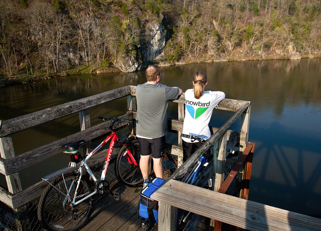 New River Trail State Park offers 38 miles of flat trails to ride