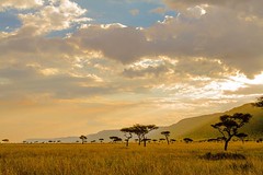 Sunset over the Ololoolo Escarpment, Mara Triangle.   #MasaiMara #TembeaKenya #MagicalKenya #Kenya