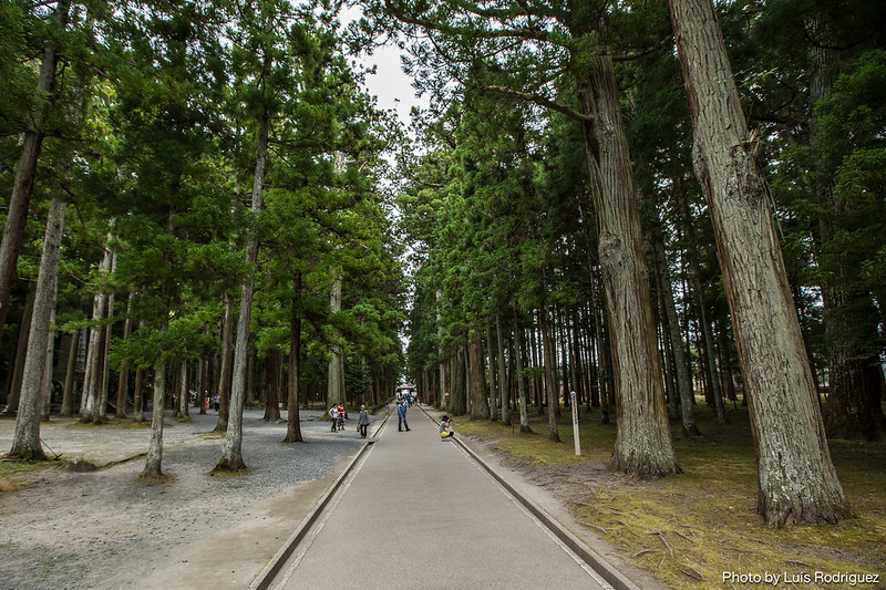 Bosque del templo Zuiganji