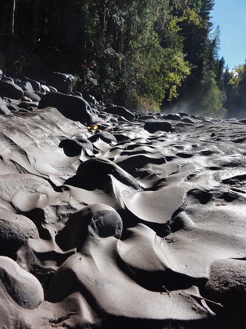 Image shows the bed of the White River. There are many rounded andesite cobbles, partially covered with muddy ash. The volcanic muds are dark gray-brown, and are frozen in large ripples. The photo was taken from the level of the river bed, so the trees on the bank and the blue skies loom.