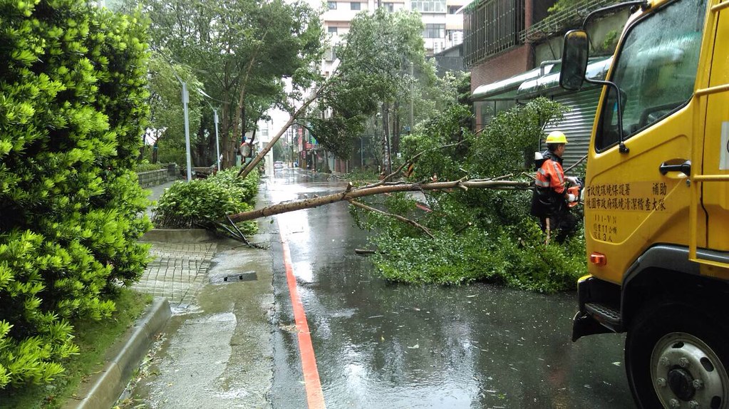 清潔隊員於第一時間移除因被颱風吹倒之路樹