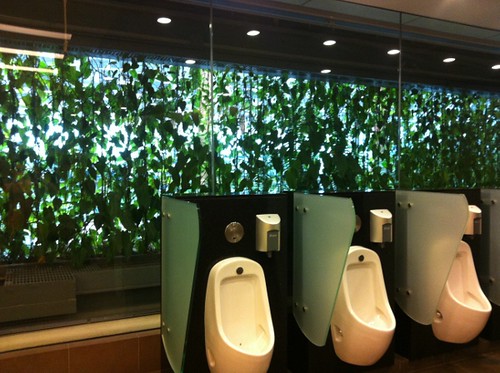 Singapore airport urinals