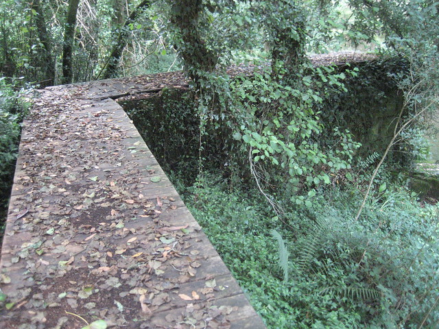 Pasarela de madera en la ruta dos ríos de Vilacoba e San Xusto