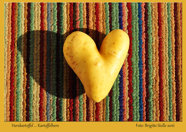 Kartoffelherz, Herzkartoffel, herzige Kartoffel, Kartoffeltransport, Herztransfer, heißes Herz, gebratenes Kartoffelherz ... Fotospielereien: Brigitte Stolle 2016