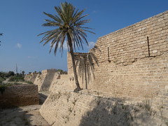 Cesarea in Palestina