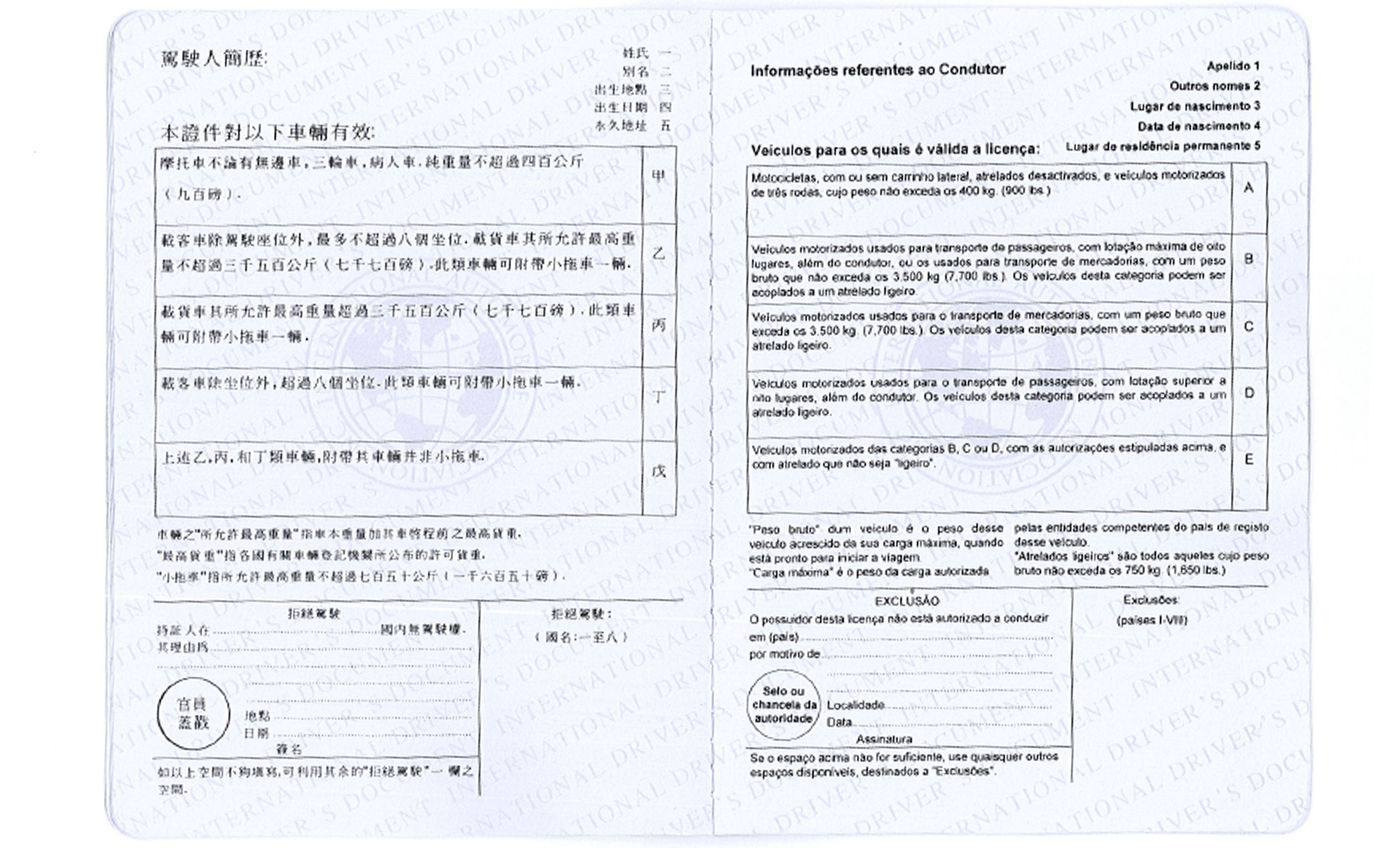 Sample Of International Driver’s Permit