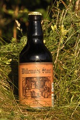 Willemoes Stout
