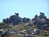 Figures rocheuses pittoresques sur la crête de l'Alcudina au-dessus de Punta di Piana Longa