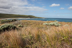 The Cape Leeuwin seashore