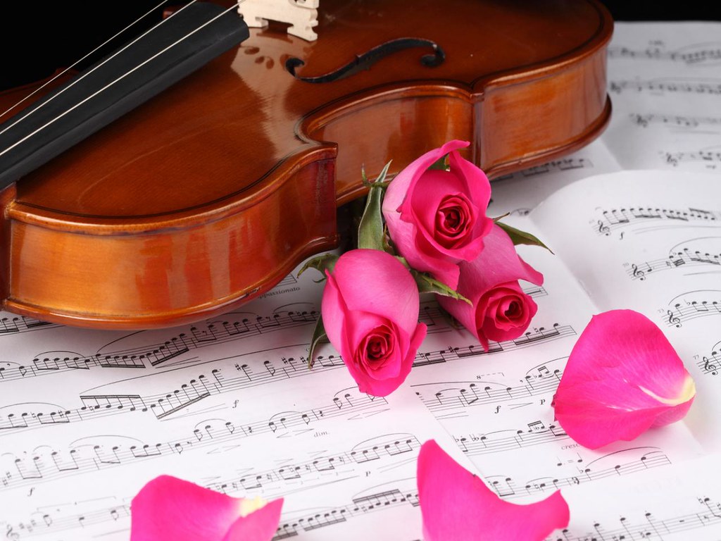 beautiful-pink-rose-and-violin-wallpaper,1280x960,61957 ...