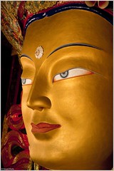 The Maitreya at Thikse Monastry