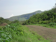 Periodical Collapse Of The Wall Of Menengai Crater