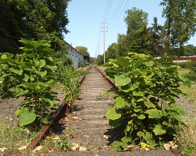 Abandoned Railroad Tracks, Northvale, New Jersey | Flickr - Photo 