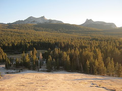 Sunset view from side of Lembert Dome - campground in foreground in the trees   8-27-2012