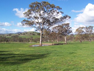 A Paddock, Field or Pasture