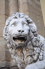 Lion Statue at Piazza della Signoria - Florence
