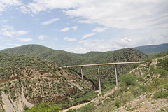 Road to Oaxaca