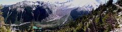 Emmons Glacier and White River Panorama