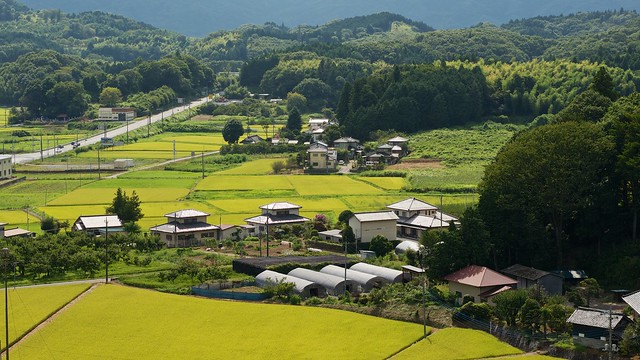 How green Japan is...