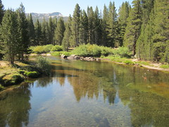 Tuolumne River next to the Tuolumne Meadows Campground - as seen from the highway bridge - August 2012
