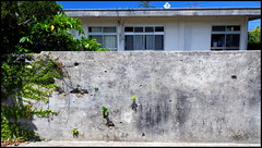 WW2 BULLET HOLES on the WALLS OF THE LEPER COLONY