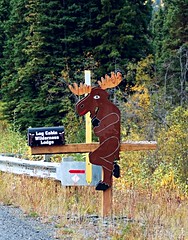 Moose Mailbox