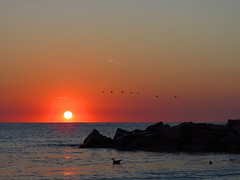 Sunrise over the Black Sea at Cap Aurora (AP4M2870-1PSP)