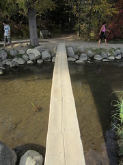 plank bridge across the mississippi river