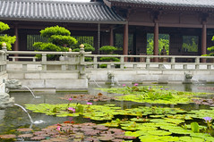 Chi Ling Nunnery courtyard pond