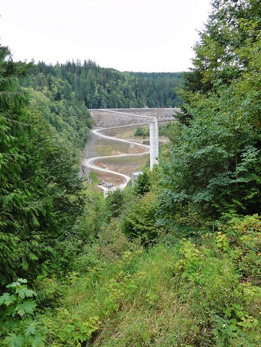 Image is zoomed out to show the dam and its tower nestled in a canyon, which is barely visible because of the trees and bushes.