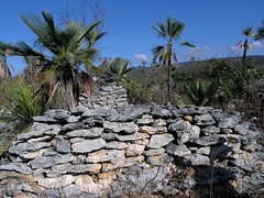 Walls of prehispanic ruins - paredes de ruinas prehispánicos cerca de Llano de Avispas, al norte de Santa María Taltaltepec, Distrito de Nochixtlán, Región Mixteca, Oaxaca, Mexico