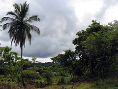 Comunidad Kuakuil, Puerto Cabezas, RAAN