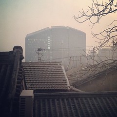 楼·房 #china #beijing #hutong #building #tree #winter #house